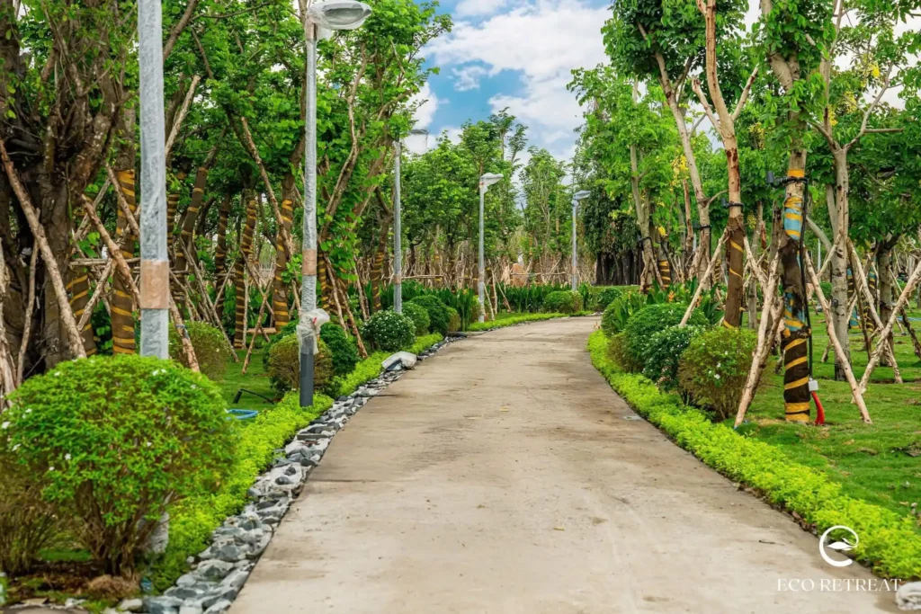 Hình ảnh: Tuyến đường nội khu hoàn thiện, hai bên trồng hàng cây đều tăm tắp