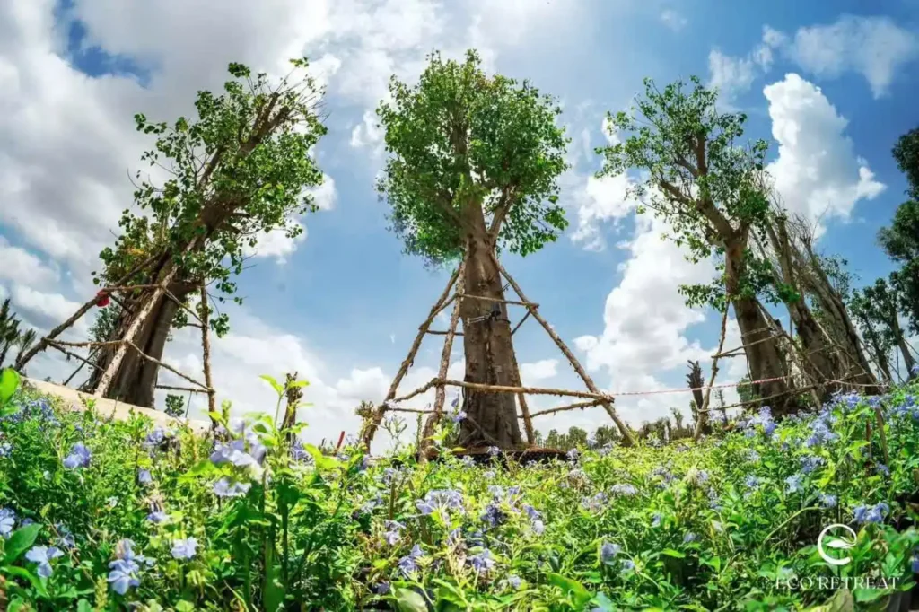 Tiến độ dự án Eco Retreat Long An mới nhất